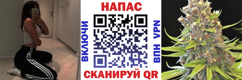 kraken зеркало  Жирновск  Конопля конопля 